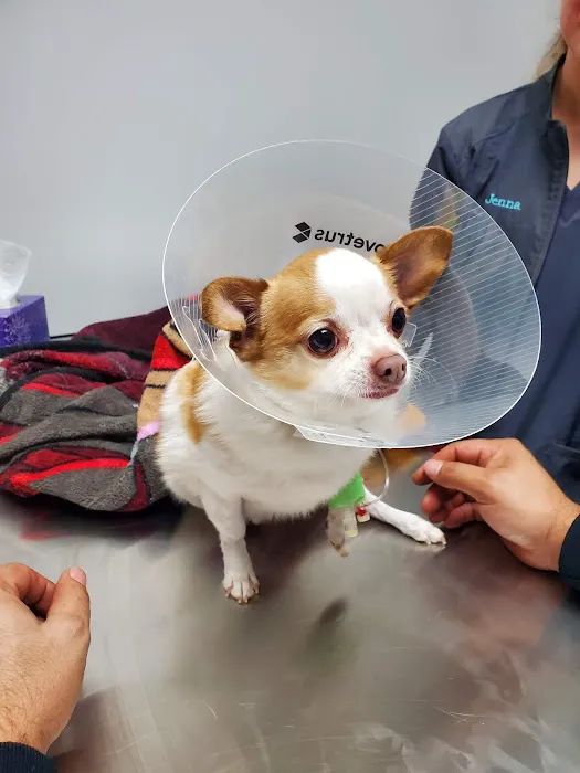 West Forsyth Animal Hospital 9