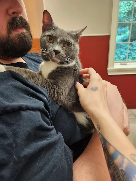 Creekside Animal Hospital 12