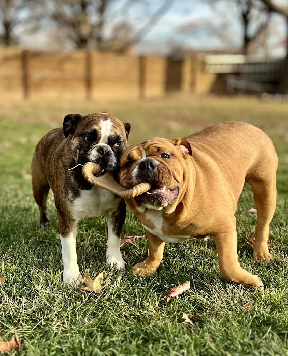 Creekside Animal Hospital 12