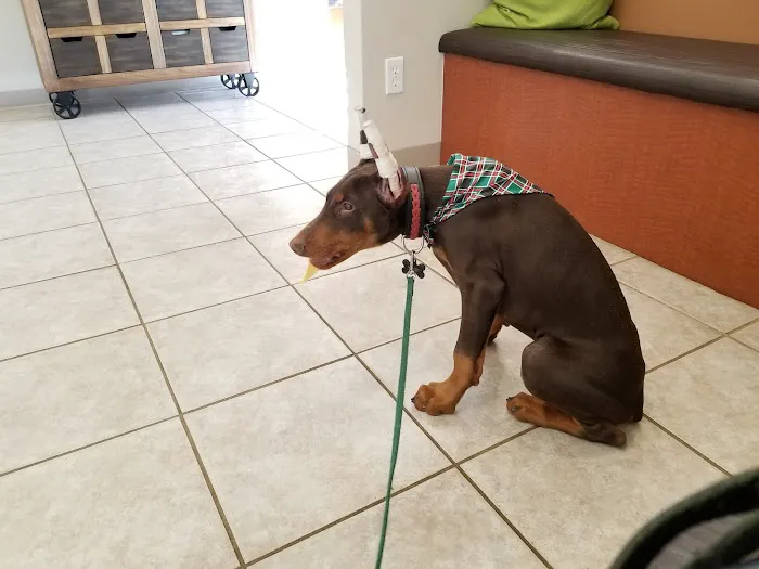 Creekside Animal Hospital 12