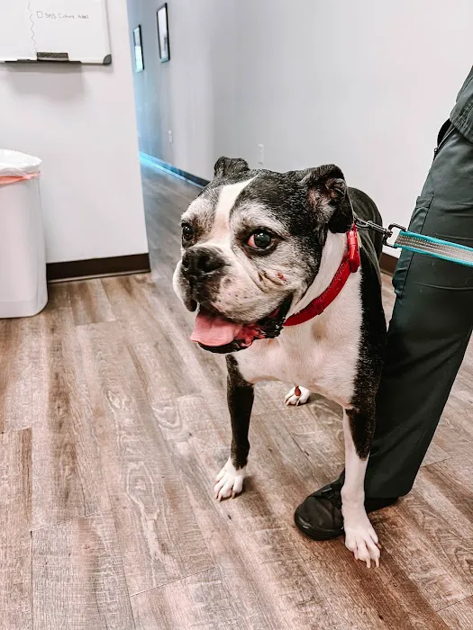 Express Vets Cumming 12