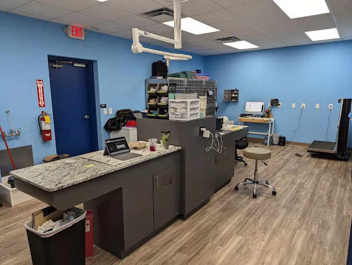 Cumming Pet Urgent Care 2