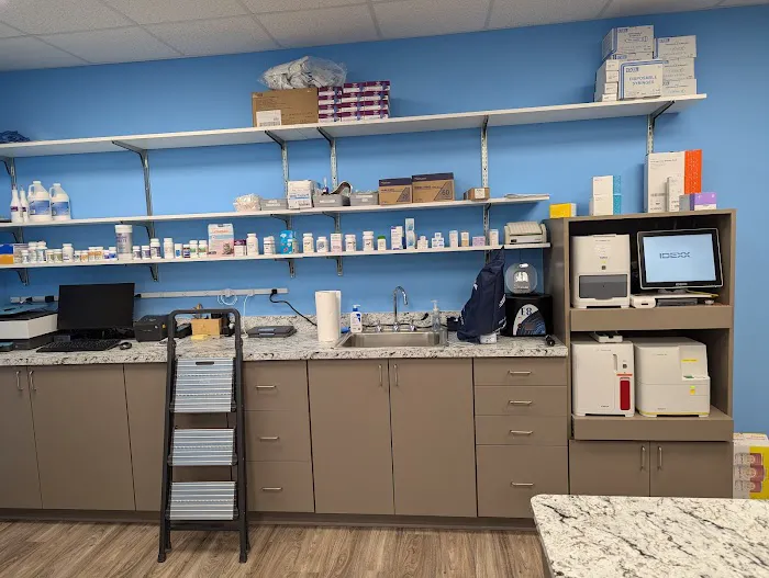 Cumming Pet Urgent Care 1