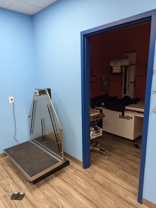 Cumming Pet Urgent Care 4