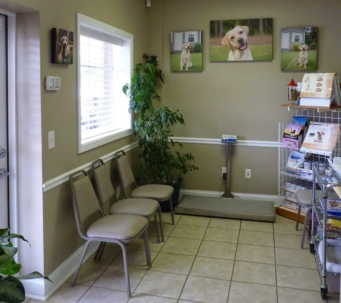 Vet to Pet Services 12
