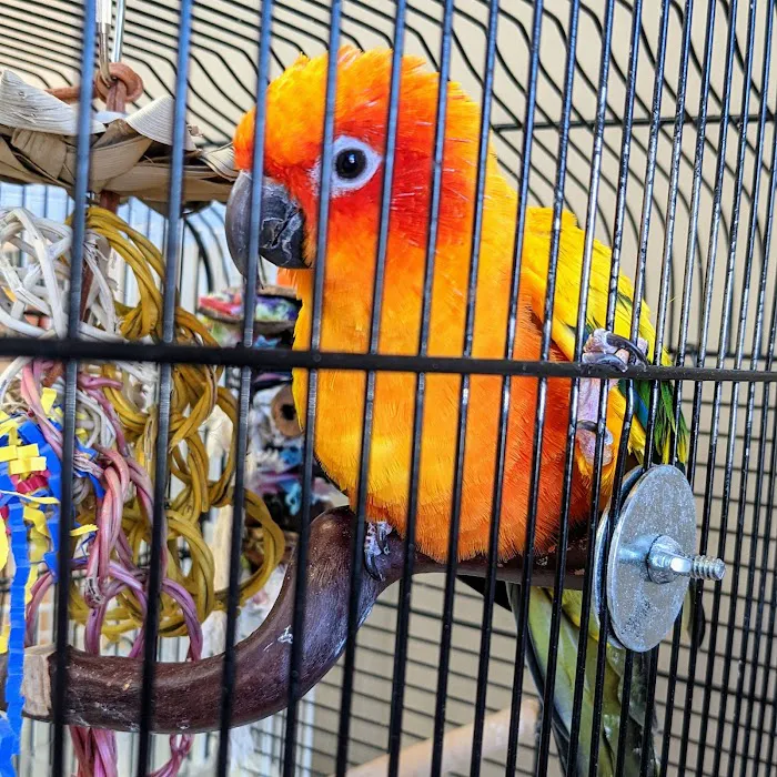 Auburn University Veterinary Clinic 5