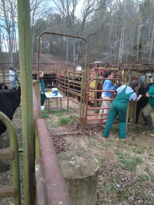 JT Vaughan Large Animal Teaching Hospital 12