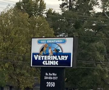All Creatures Veterinary Clinic