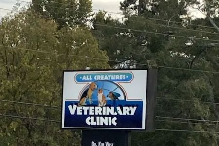 All Creatures Veterinary Clinic