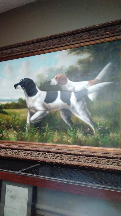 All Creatures Veterinary Clinic 12