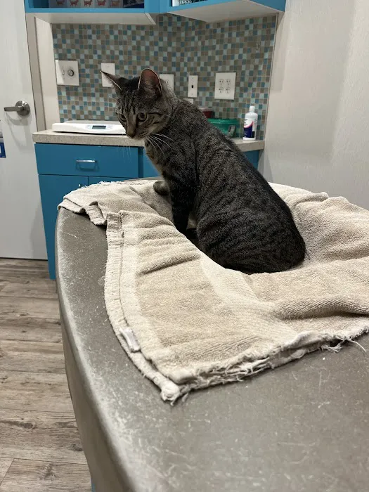 PetVet Animal Health Center 4