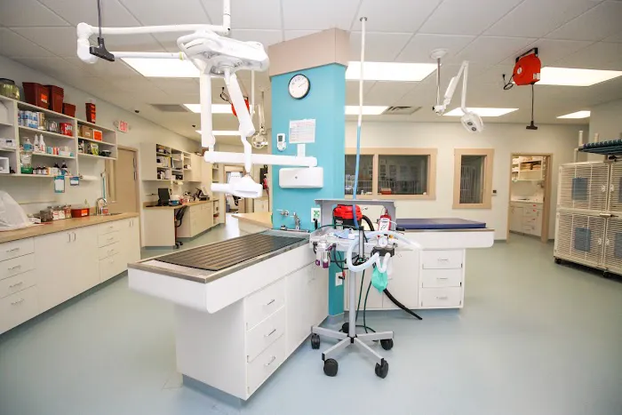 PetVet Animal Health Center 7