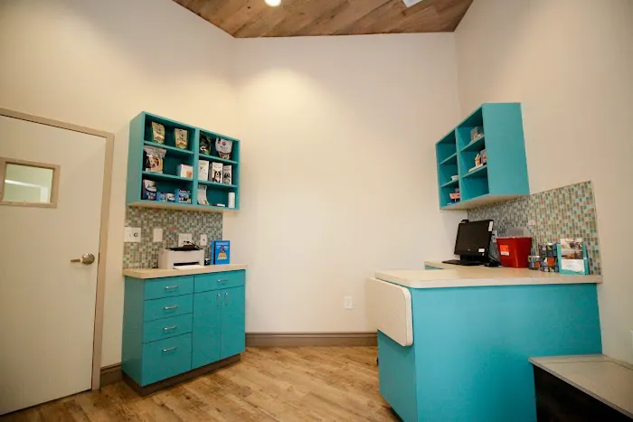 PetVet Animal Health Center 6