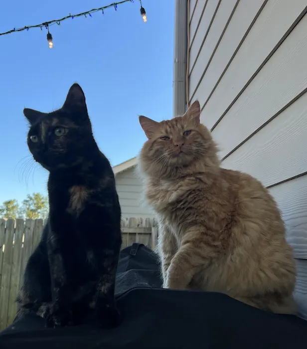 Village Veterinary Clinic: Kuykendall Dan DVM 1