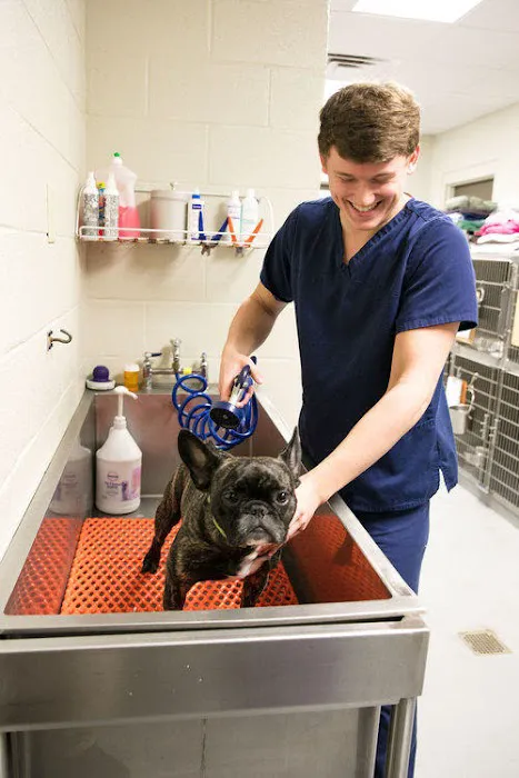 Village Veterinary Clinic 12