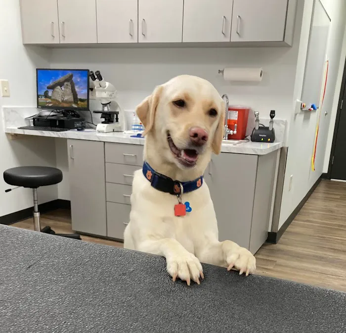 Auburn Oaks Animal Clinic 4
