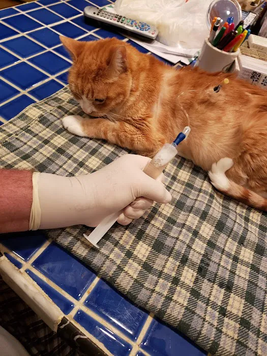 Animal Medical Clinic of Prattville, LLC 12