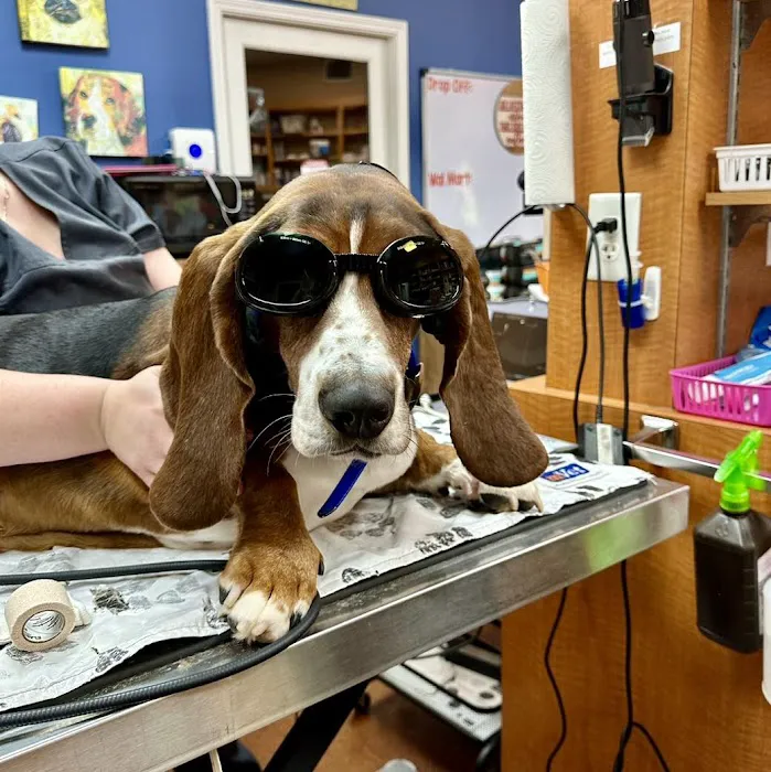 River Region Veterinary Services 12