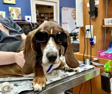 River Region Veterinary Services