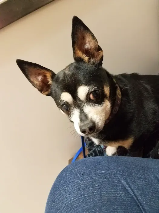 Ark Animal Hospital 12