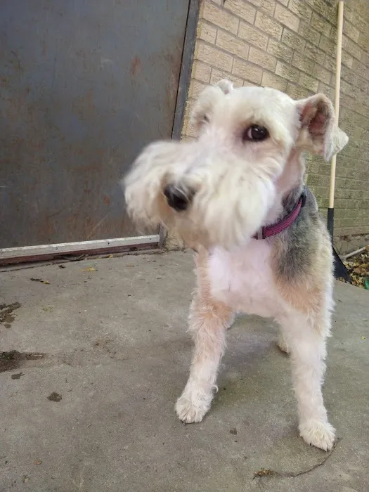 Carriage Hills Animal Hospital: Simmons Holladay DVM 12