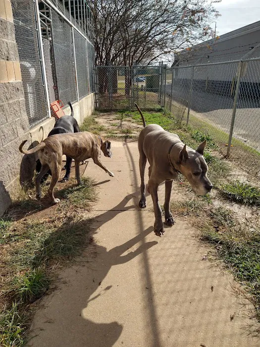 Carriage Hills Animal Hospital: Simmons Holladay DVM 12