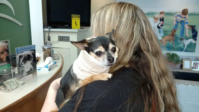 VCA Carriage Hills Animal Hospital and Pet Resort 12