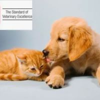 The Animal Clinic, P.C. ico