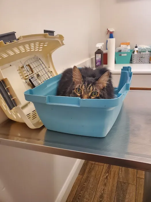 Cavanaugh Bradley Animal Hospital 4