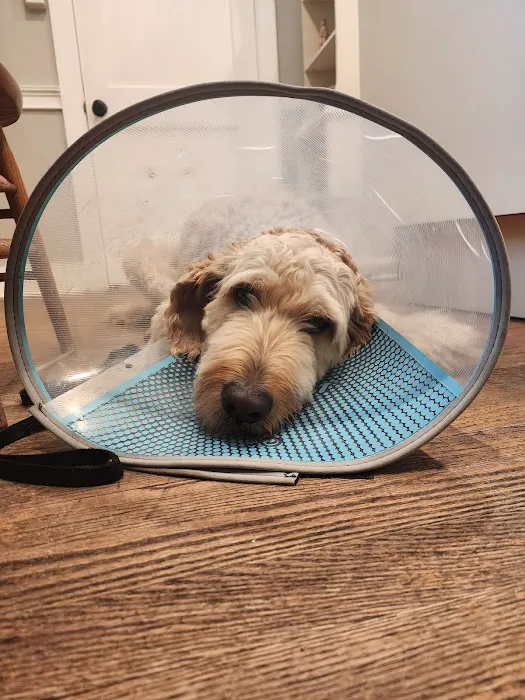 Acute Care Veterinary Clinic 12
