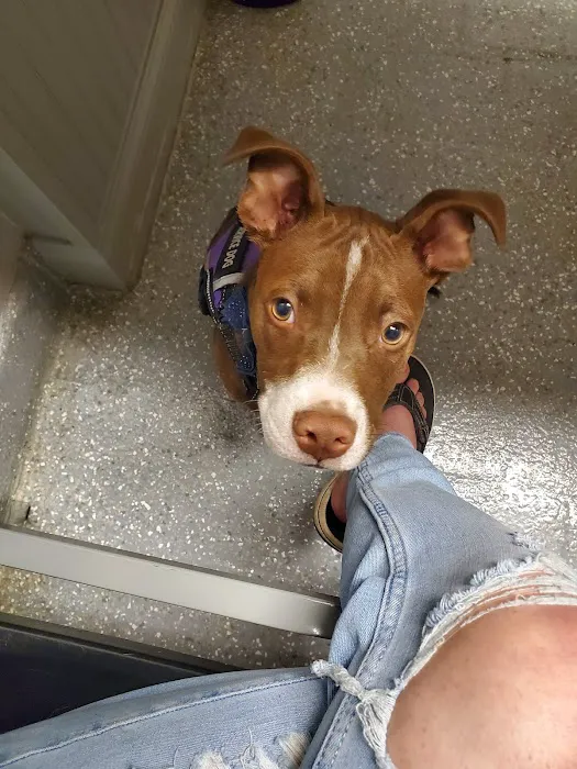 Evans Animal Hospital 5