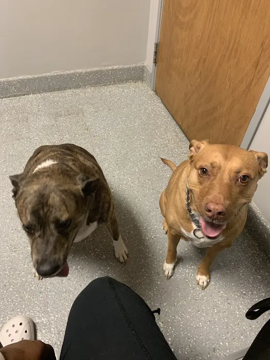 Evans Animal Hospital 2