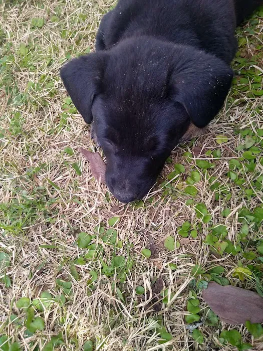 Martinez Animal Hospital 3