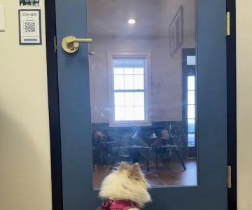Southern Trails Vet