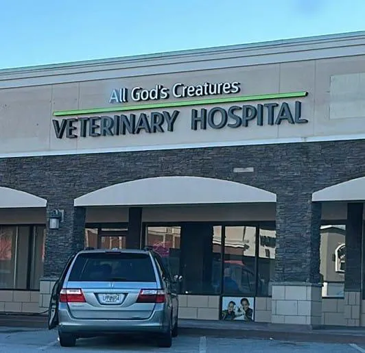 All God's Creatures Veterinary Hospital 5