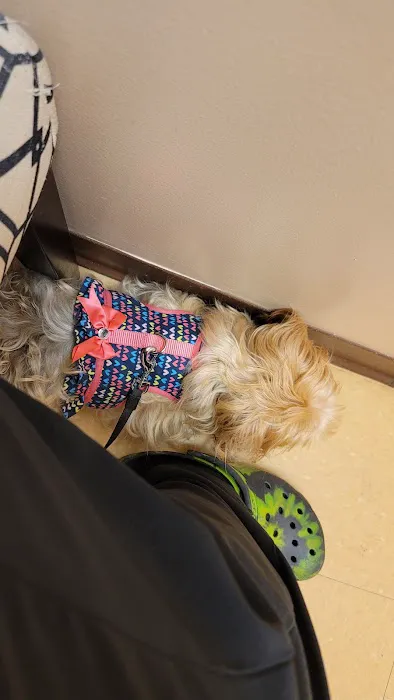 All God's Creatures Veterinary Hospital 4