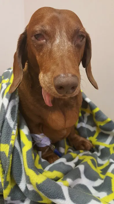 All God's Creatures Veterinary Hospital 9