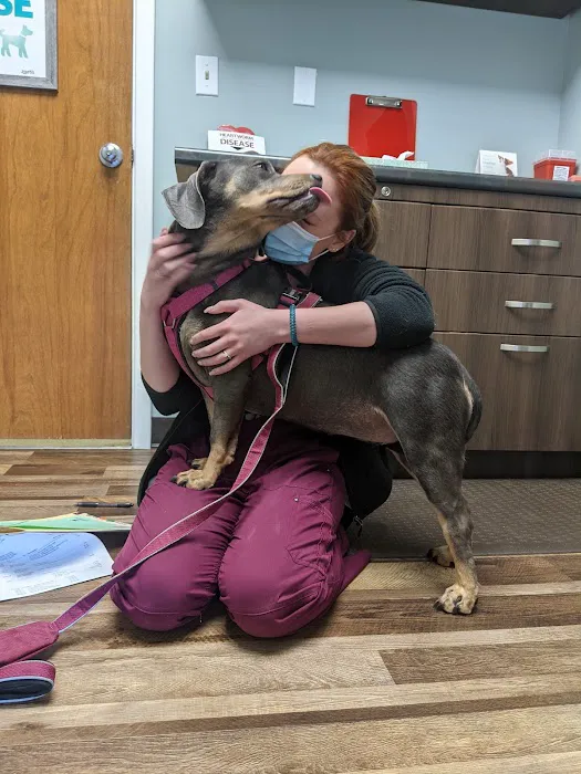 Westside Animal Hospital 4