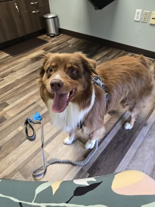 Westside Animal Hospital 3