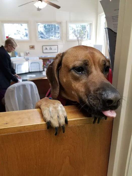 Blanchard Woods Animal Hospital 8