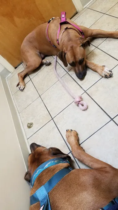 Blanchard Woods Animal Hospital 1