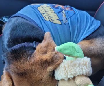 Banfield Pet Hospital