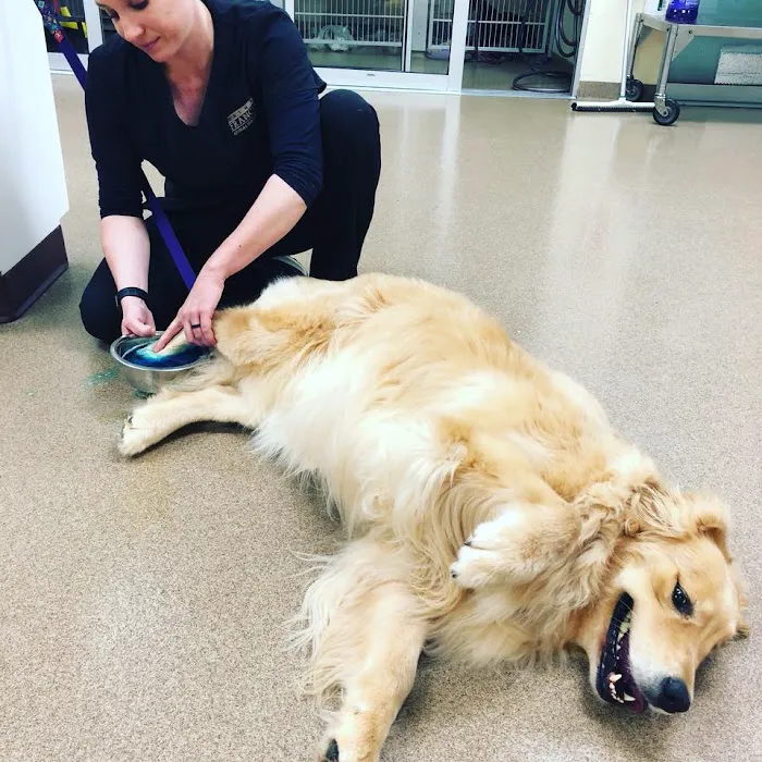 St Francis Animal Hospital 9