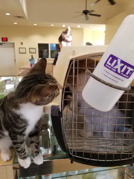 St Francis Animal Hospital 1