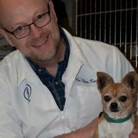 Paradise Animal Hospital ico