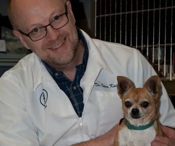 Paradise Animal Hospital