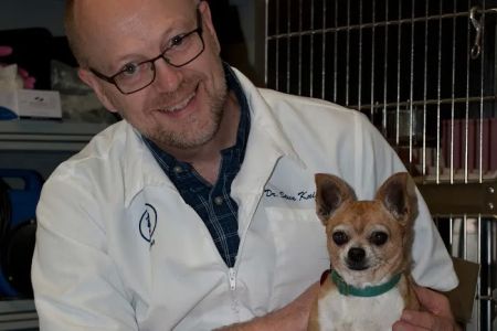 Paradise Animal Hospital
