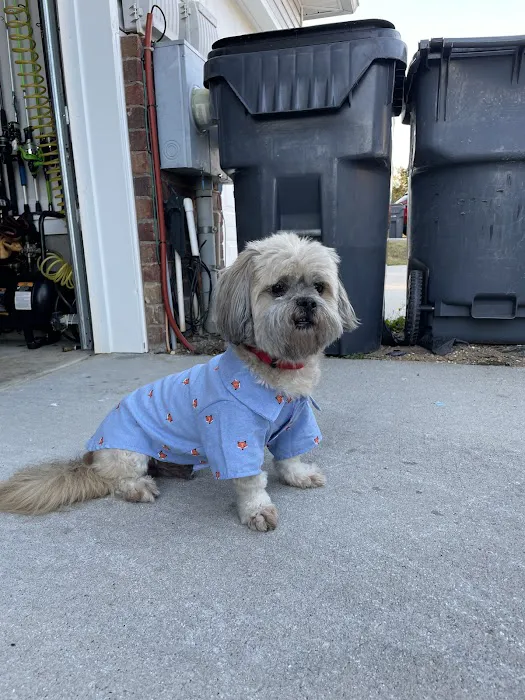 Paradise Animal Hospital 12