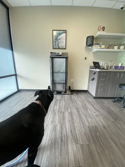 Northside Animal Hospital 12