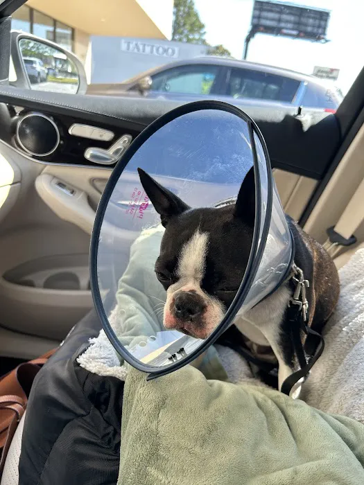 Northside Animal Hospital 12